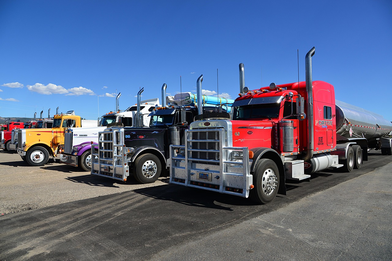 Stricter CDL rules gain momentum under Dalilah’s Law