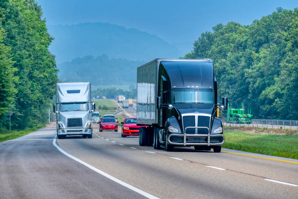 Stolen Identities on the Highway: Inside the Black Market for MC Numbers